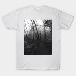 Winter sorrow path T-Shirt